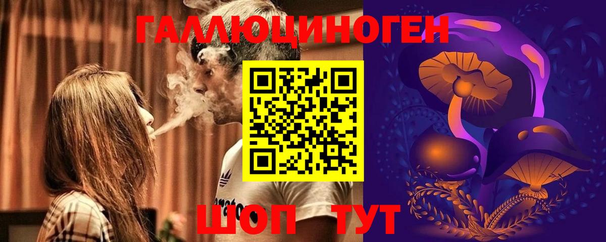 Майский  Псилоцибиновые грибы прущие грибы  Вход с VPN 